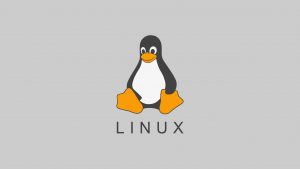 Linux 简介-李佳程的个人主页